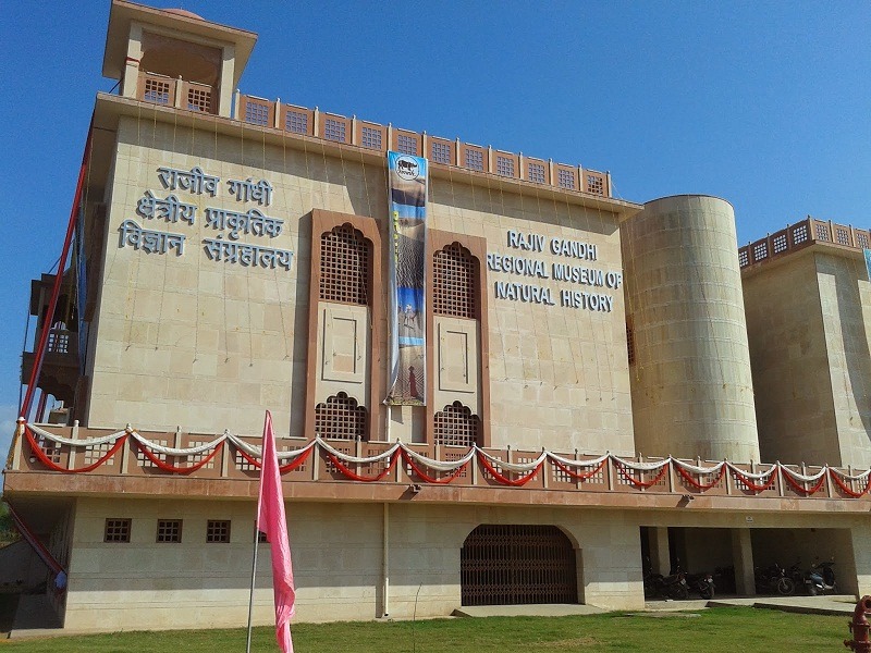 rajiv-gandhi-regional-museum-of-natural-history-img